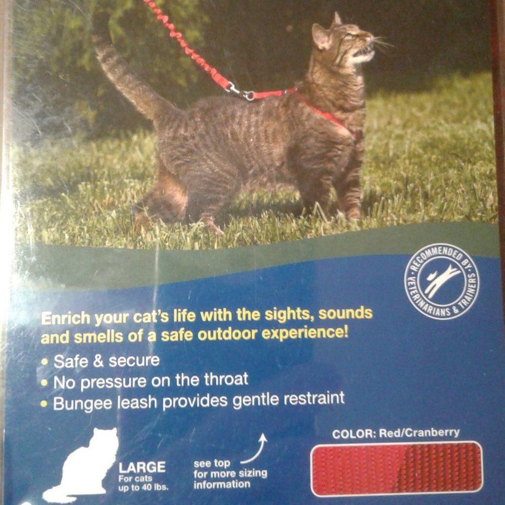 PetSafe Large Cat Harness Bungee Leash Red Cranberry Adjustable